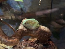 -Zoolung Zoolung动物主题公园(海信广场店)