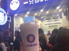 -一只酸奶牛(八一路店)