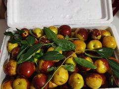 -沾化冬枣生态旅游区