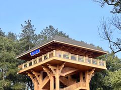 -缙云山景区