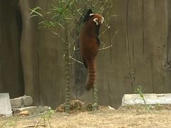 -南昌动物园