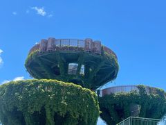 -芒洲湿地公园