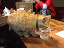 iphone_upload_pic-汉刺青TATTOO STUDIO