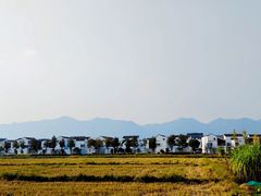 -东梓关景区村庄