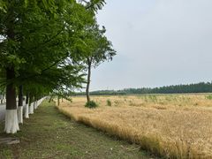 -嘉北郊野公园