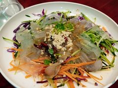 东北大拉皮-邵年鸽(杨庄店)
