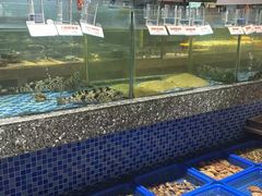 -海派美食·家宴海鲜青岛菜·石锅鲽鱼头(东方城店)