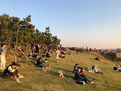 -华夏良子·足道SPA艾灸(小麦岛银海店)
