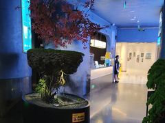 -1718海鲜姿造(苏宁宴请臻选店)