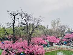 -中国翰园碑林