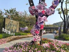 -云溪植物园