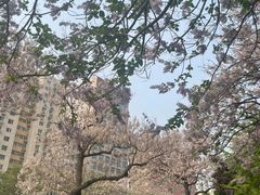 -白石桥南(地铁站)