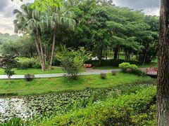 -东莞植物园