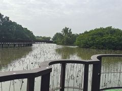-大湾区中央湿地公园
