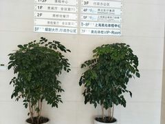 -上海美兆健康医疗体检中心(古北店)
