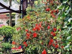 -惠山古镇·寄畅园