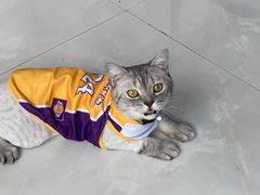 -佳雯宠物医院·皮肤科·内外科(春晓路分院)