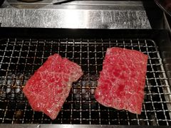 -俺的焼肉(銀座9丁目店)