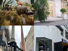 -王婆婆老妈蹄花川菜馆·非物质文化遗产(太古里一店)