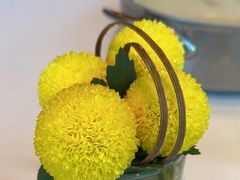 -粤界.港式海鲜火锅(望京店)