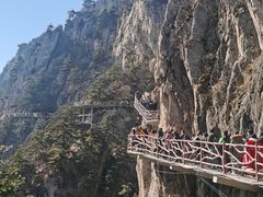 -老君山风景名胜区