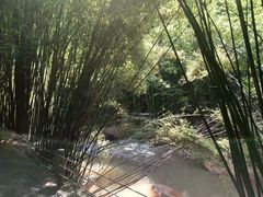 -四洞沟景区