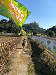 -阿菠萝小猪农场·萌宠乐园·亲子游·研学