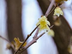 景点-北极寺公园
