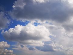 -牛背梁国家森林公园