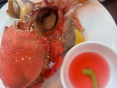 -Social 秀西餐厅-长沙瑞吉酒店(运达店)
