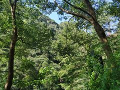 -宁波五龙潭景区