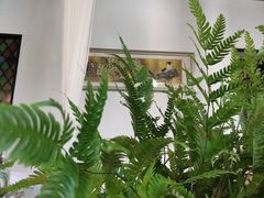-艺墅家·福建菜·百年侨楼(集美学村大社店)