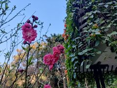 -桃花涧