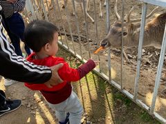 -西安秦岭野生动物园