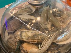 -乔哥铭洋海鲜自助(皇城恒隆广场店)