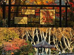 -北山街历史文化街区