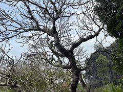 -崆峒岩风景区