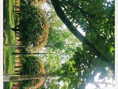 -洨河生态公园