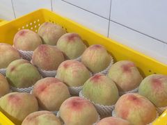 -老袁家蜜桃农场·阳山水蜜桃