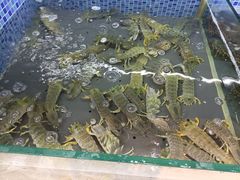-欧记·龙城港(欣都店)