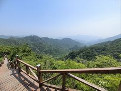 -大岭沟猕猴桃谷风景区