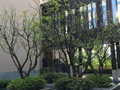 -上海崇明金茂凯悦酒店