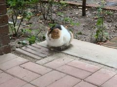 -天津东丽湖风景区