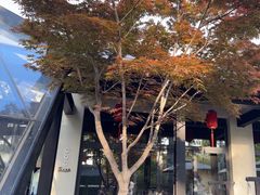 -禧宴Joyous Restaurant(禧园店)