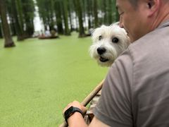 -渌洋湖湿地公园