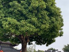 -广东圆玄道观