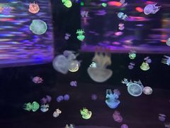 -邯郸海洋世界
