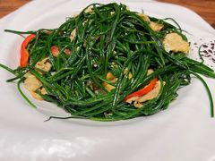 -杨乐辣子鸡(和田一街店)