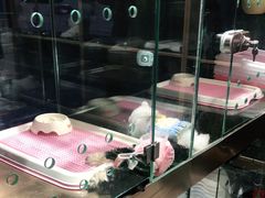 -FAELING PETS美天灵宠物(富力广场店)