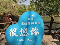 -西双版纳原始森林公园